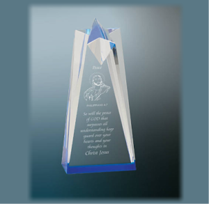 Blue Sculpted Star award from Sporty's Awards, Clarksville, TN.